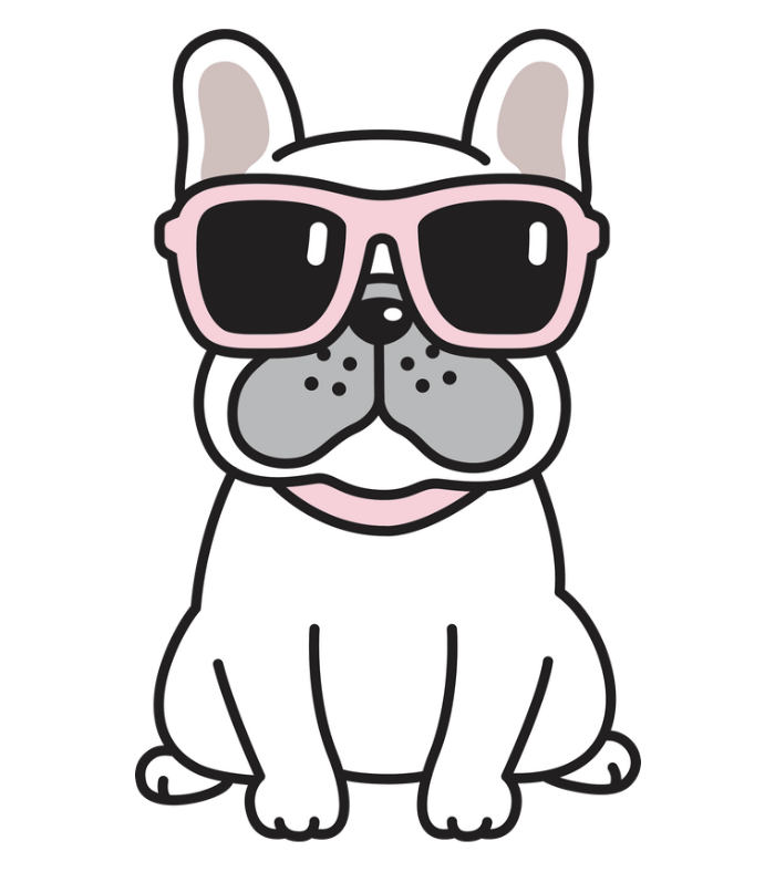 French bulldog, pet parenting